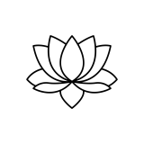 flor de lotus II